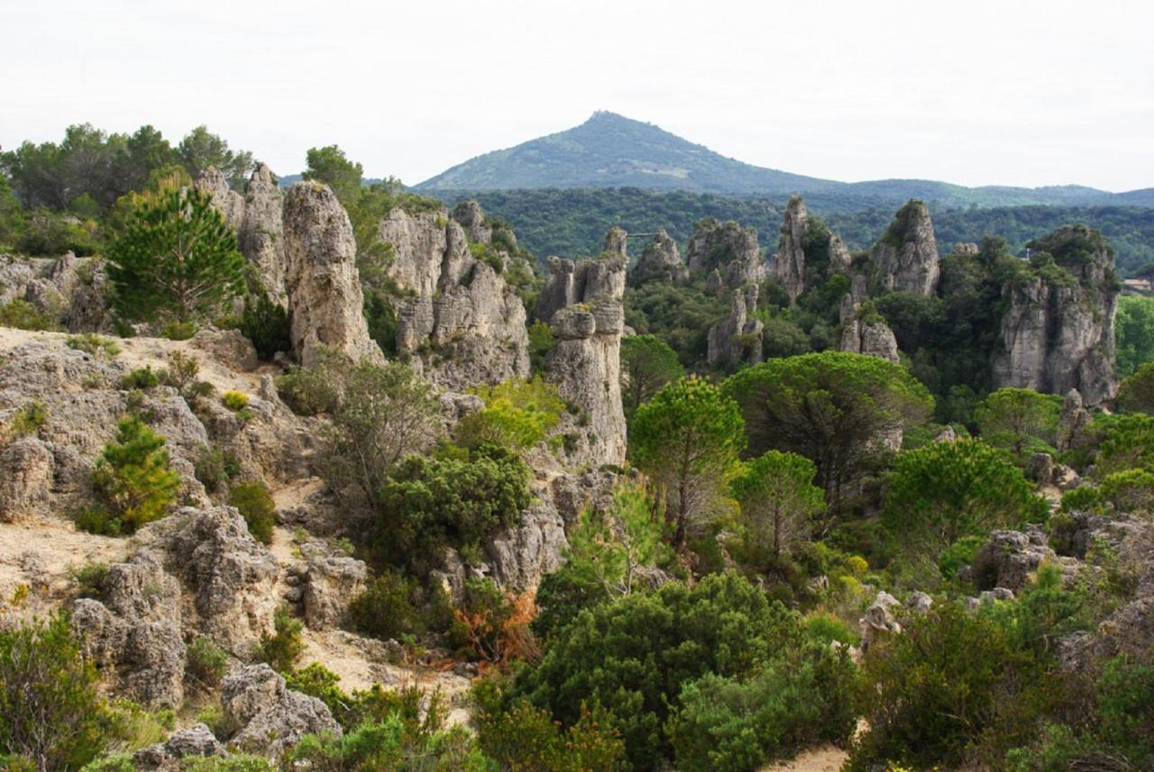 "Le Patio"-Meuble De Tourisme 3 Etoiles -Residence "Les Logis De Beziers"-Garage Optionnel-Coeur De Ville-Plages A 16Km ! エクステリア 写真
